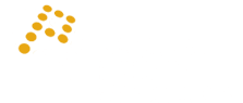 National Parking Association Logo